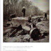 Фотоальбом “Звільнена Київщина. Kyiv area after liberation” 58315