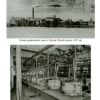 “Первый олигарх: Михаил Иванович Терещенко (1886-1956)” Мишель Терещенко 58071